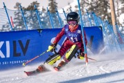 FIS Baltijas kauss 2023 6.posms, jauniešu un meistaru SL, Foto: E.Lukšo