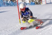 FIS Baltijas kauss 2023 6.posms, jauniešu un meistaru SL, Foto: E.Lukšo