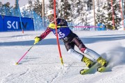 FIS Baltijas kauss 2023 6.posms, jauniešu un meistaru SL, Foto: E.Lukšo