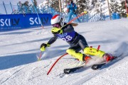 FIS Baltijas kauss 2023 6.posms, jauniešu un meistaru SL, Foto: E.Lukšo