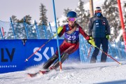 FIS Baltijas kauss 2023 6.posms, jauniešu un meistaru SL, Foto: E.Lukšo