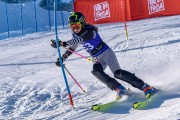 FIS Baltijas kauss 2023 6.posms, jauniešu un meistaru SL, Foto: E.Lukšo