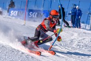 FIS Baltijas kauss 2023 6.posms, jauniešu un meistaru SL, Foto: E.Lukšo