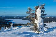 FIS Baltijas kauss 2023 6.posms, jauniešu un meistaru SL, Foto: E.Lukšo