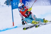 FIS Baltijas kauss 2023 6.posms, FIS GS Latvijas NJC, Foto: E.Lukšo