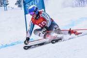 FIS Baltijas kauss 2023 6.posms, FIS GS Latvijas NJC, Foto: E.Lukšo