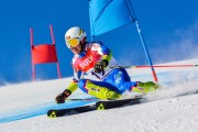 FIS Baltic Cup 2018 3. posms, Latvijas Čempionāts milzu slalomā, Foto: Emīls Lukšo