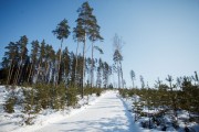 FIS Latvijas Čempionāts 2018 otrias posms, intervāla starts, Foto: Jānis Vīksna