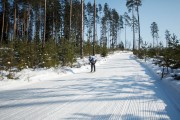 FIS Latvijas Čempionāts 2018 otrias posms, intervāla starts, Foto: Jānis Vīksna